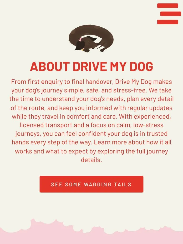 The About page of the Drive My Dog website on a phone, with a sleeping dachshund illustration
